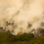 DPU solicita medidas urgentes contra incêndios em terras indígenas de MT