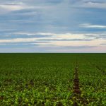 Sentença determina apresentação de cronograma pela União e Incra de regularização fundiária de terras no Pará